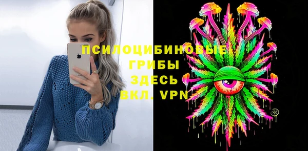 стаф Алзамай