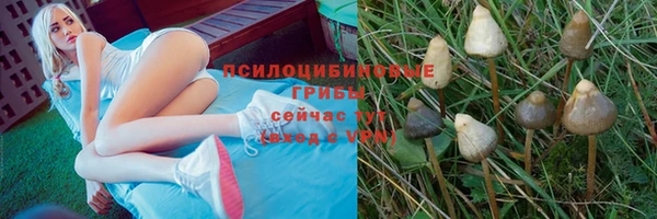 крисы Алексин
