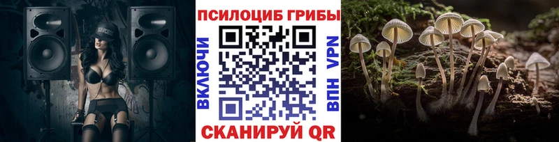 купить   Берёзовка  Галлюциногенные грибы GOLDEN TEACHER 
